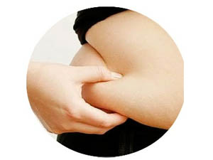 Virtual Gastric Band